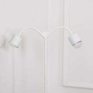 Ambient Floor Lamp
