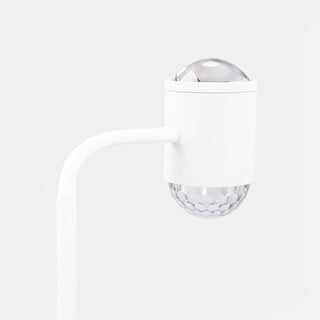 Ambient Floor Lamp