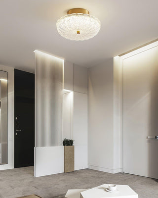 Aurora Ceiling Lamp