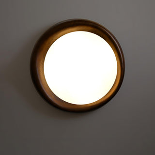 Dome Ceiling Light