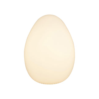 Egg Table Lamp