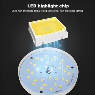 Portable Waterproof Rechargeable LED Light Bulb for Camping & Fishing